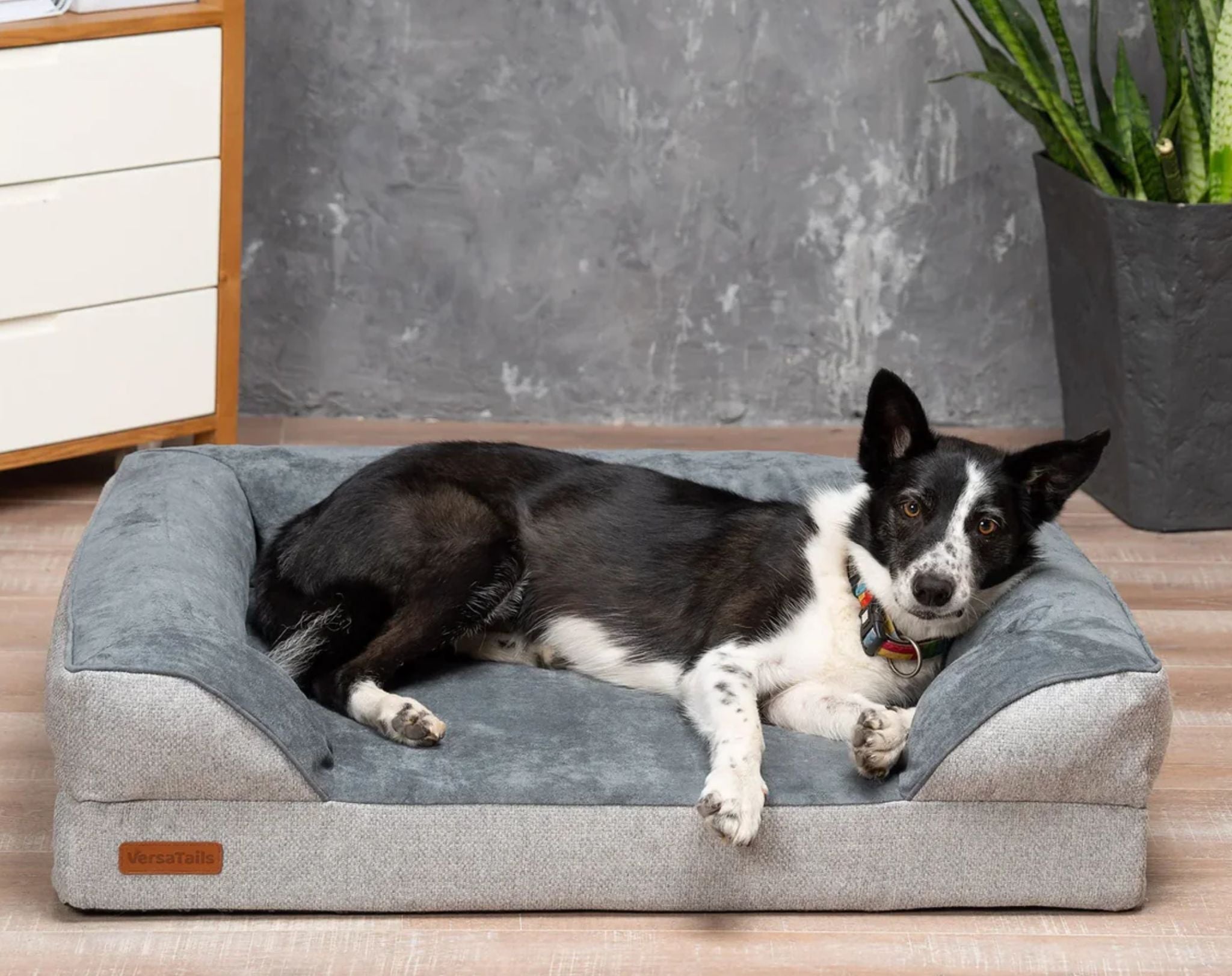 VersaTails™ Orthopedic Dog Bed