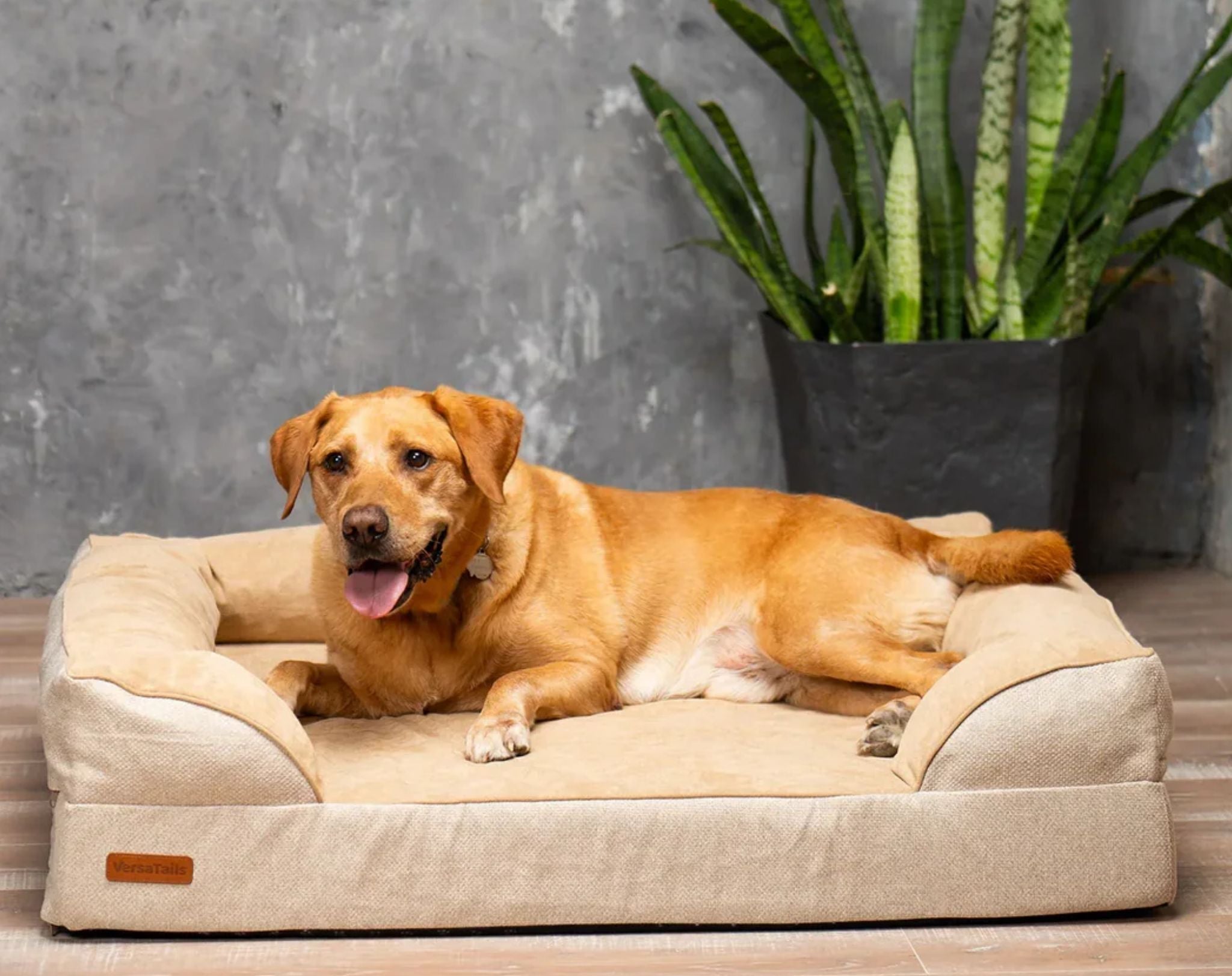 VersaTails™ Orthopedic Dog Bed