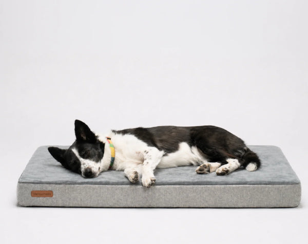 Orthopedic Dog Mattress, Flat and Open