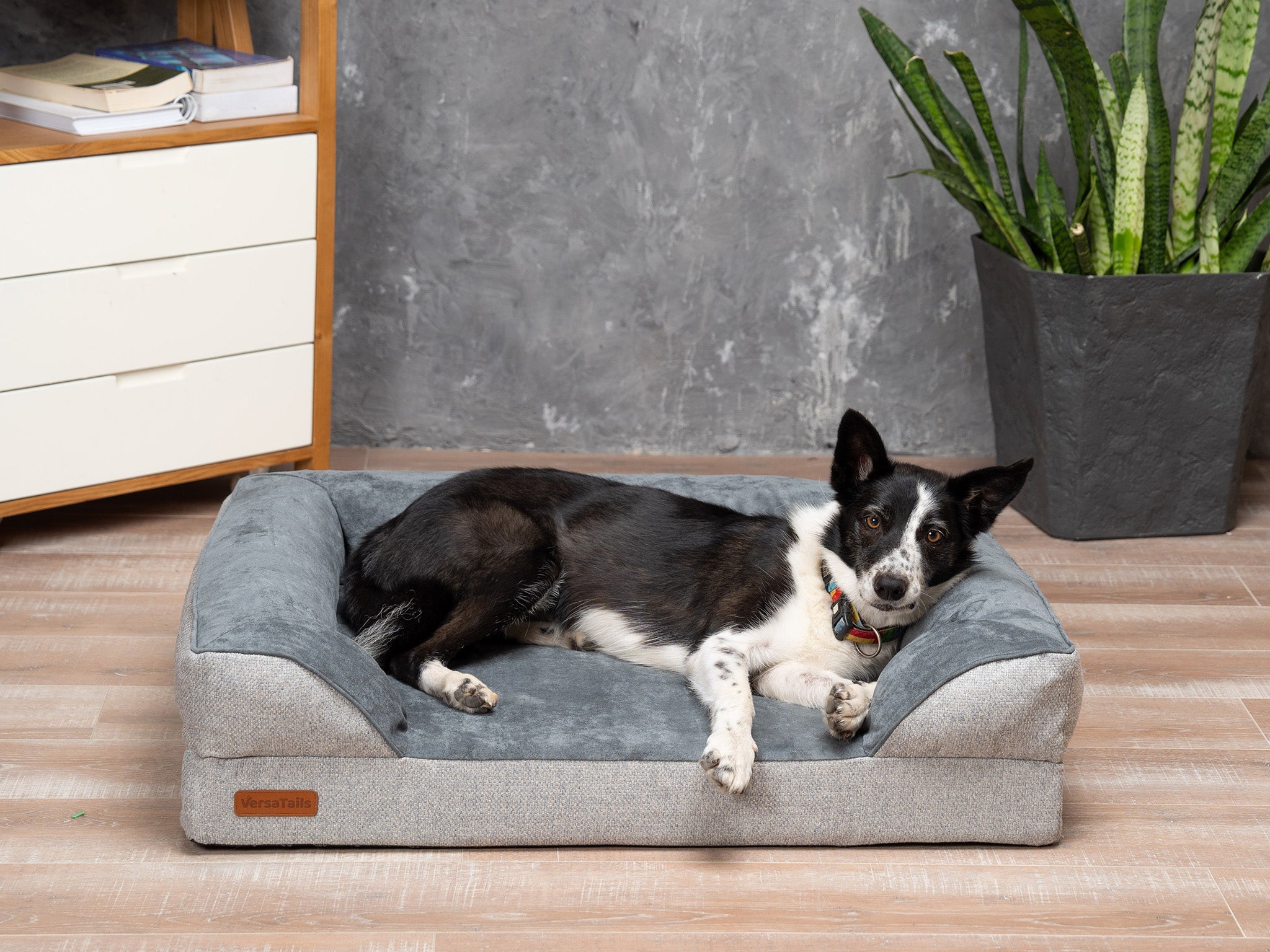 VersaTails™ Orthopedic Dog Bed