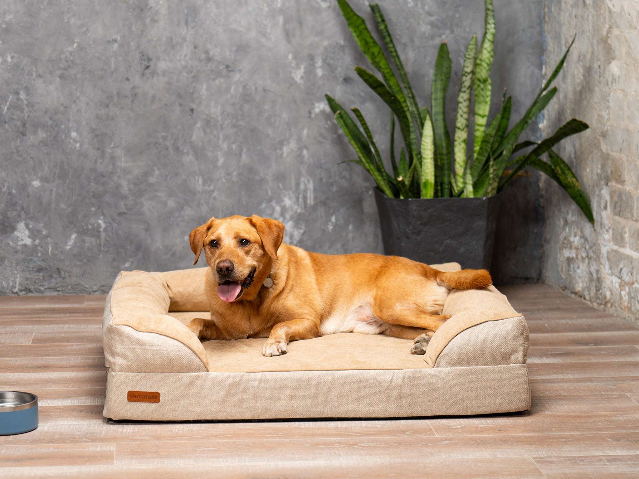 VersaTails™ Orthopedic Dog Bed