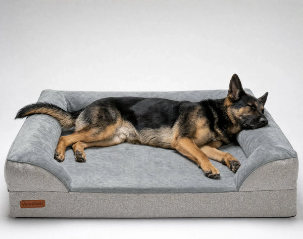 Orthopedic Dog Bed, Bolstered