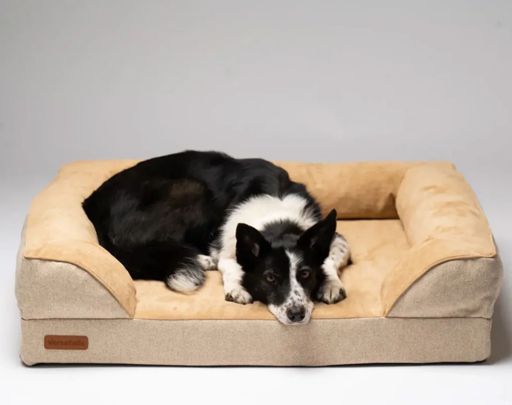 VersaTails™ Orthopedic Dog Bed