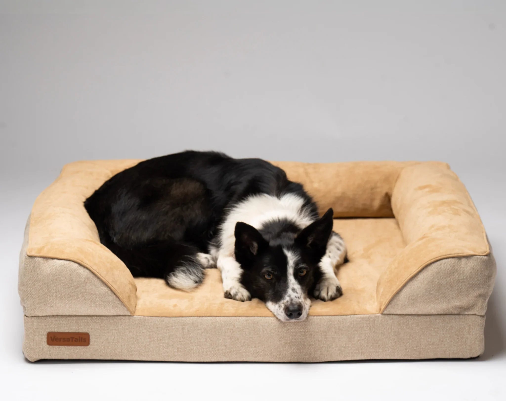 VersaTails® Orthopedic Dog Bed