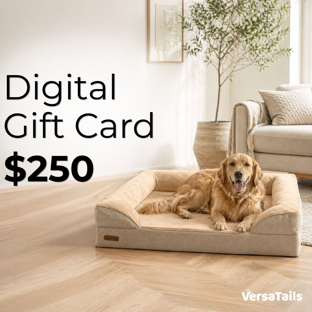 VersaTails eGift Card